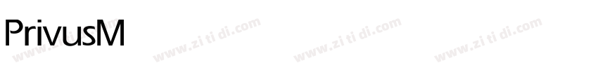 Privus Medium字体转换